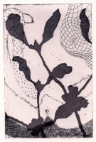 N/A