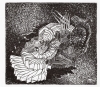 aus der serie: der Gärtner, Radierung, 2008